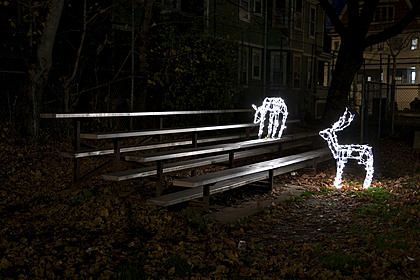 Remi Thornton / Glasshouse Images