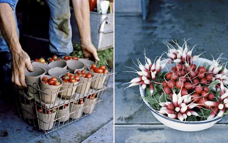 Miha Matei / Glasshouse Assignment