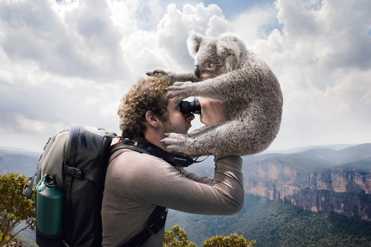 Adam Taylor's Olympus Campaign - Koala