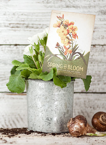 Trevor Dixon Shoots QVC Spring Campaign