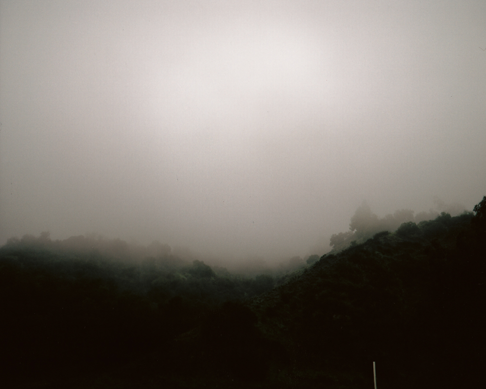 Alan Gastelum "Field Trips"