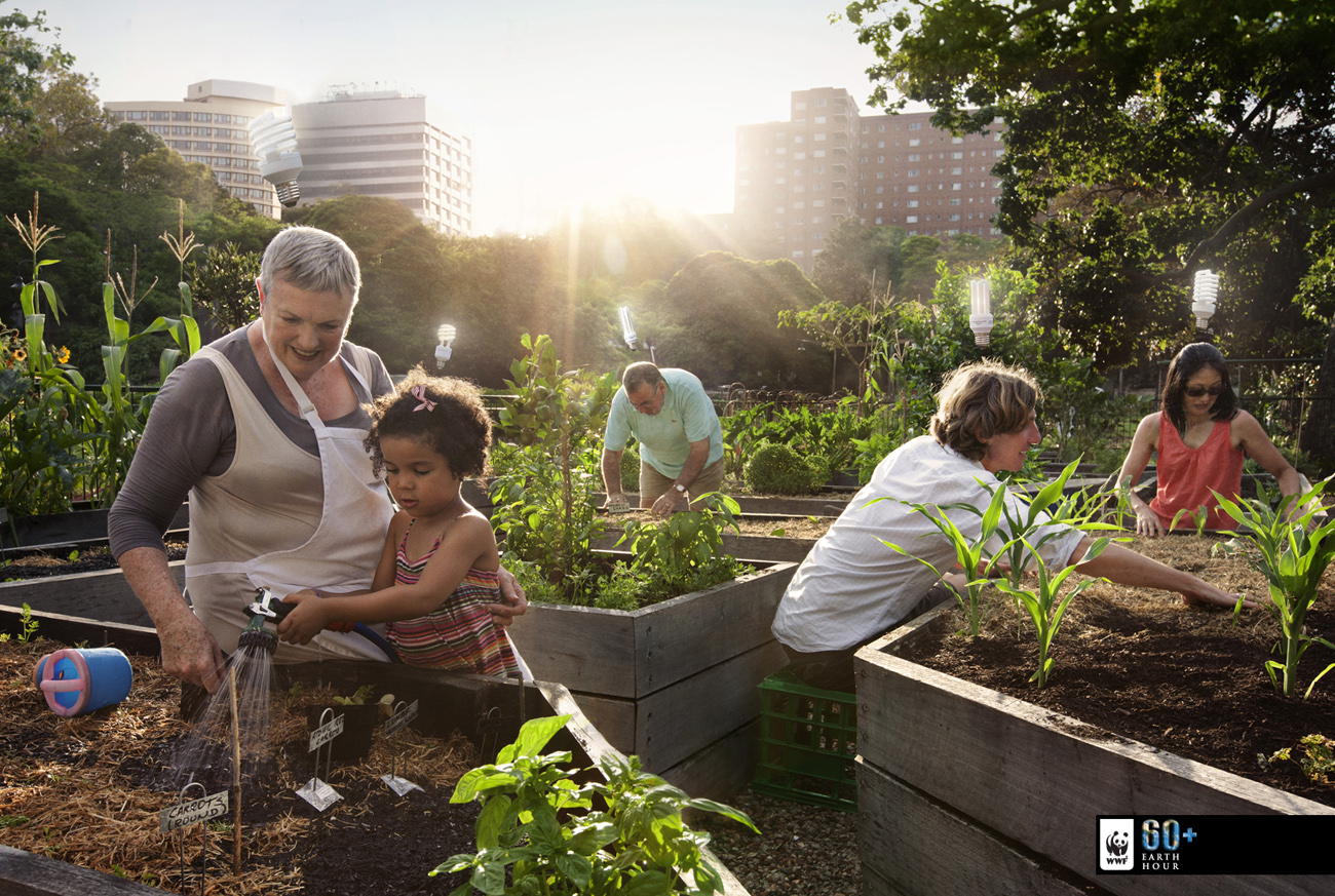 Adam Taylor - WWF Earth Hour