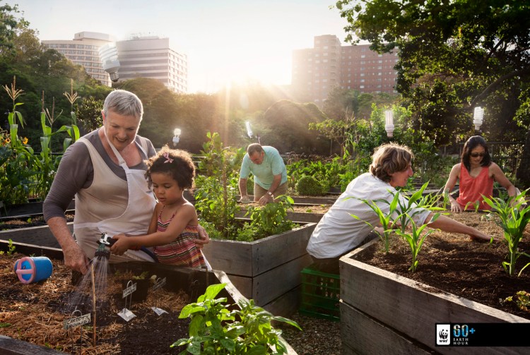 Adam Taylor - WWF Earth Hour