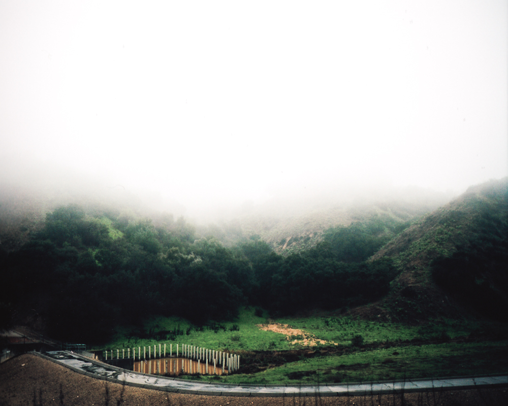 Alan Gastelum "Field Trip"