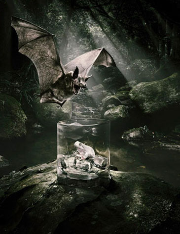 Adam Taylor Pampero Rum