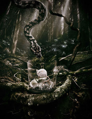 Adam Taylor Pampero Rum