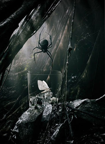 Adam Taylor Pampero Rum