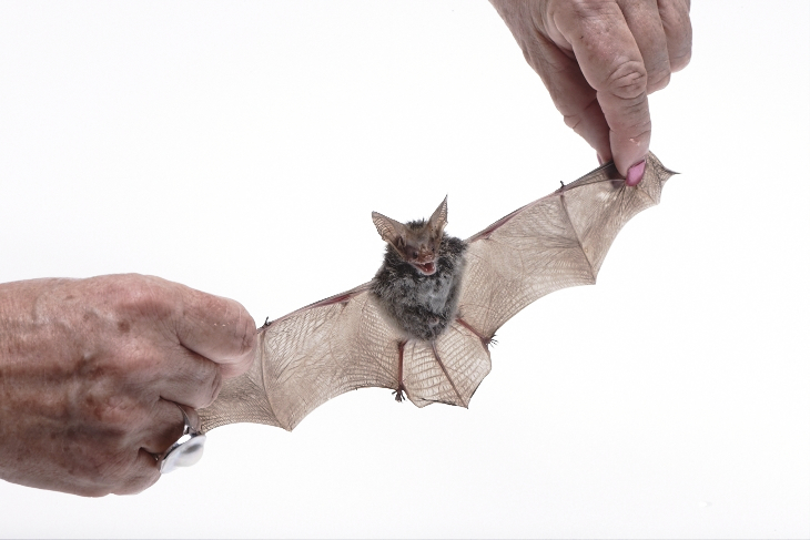 Adam Taylor Pampero Rum Outtake Adam Taylor Pampero Rum Outtake