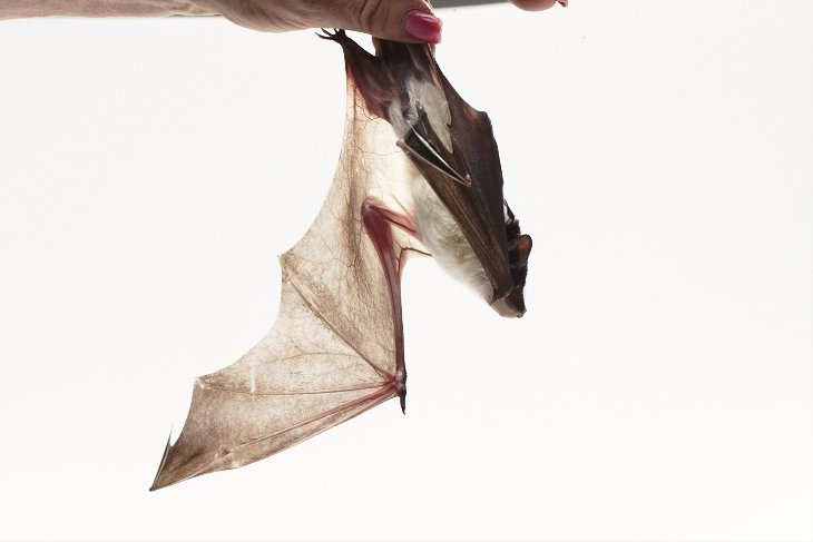 Adam Taylor Pampero Rum Outtake Adam Taylor Pampero Rum Outtake