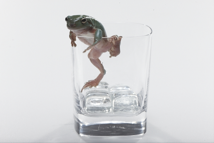 Adam Taylor Pampero Rum Outtake Adam Taylor Pampero Rum Outtake