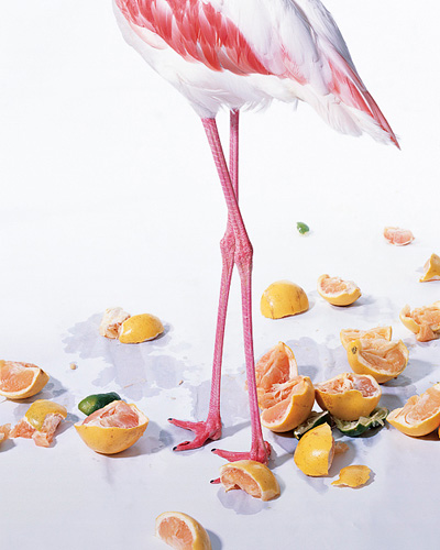 Kang Kim - Glasshouse Assignment