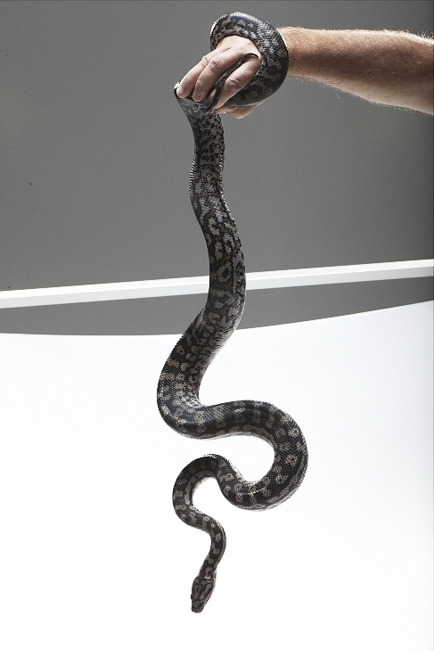 Adam Taylor Pampero Rum Outtake Adam Taylor Pampero Rum Outtake