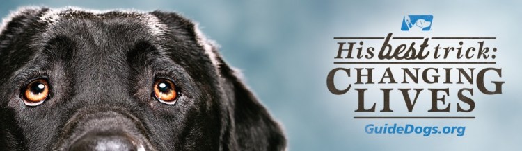 EvanKafka1001-Blog-4-1000x291