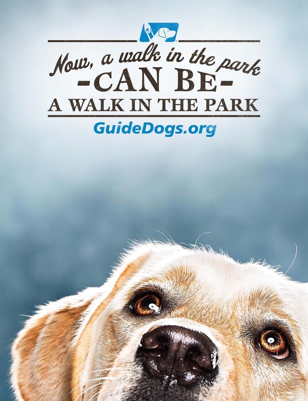 SEGD_001724_MagazineAd_HR-614x800