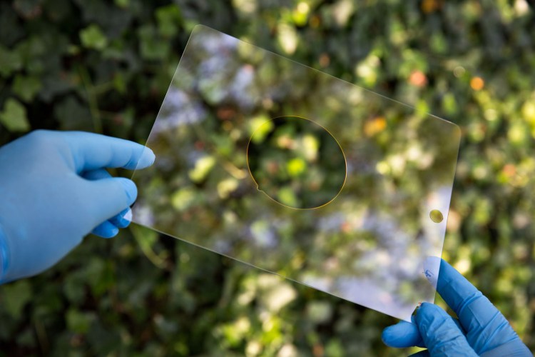 EvanKafka1308201455_Blog-2