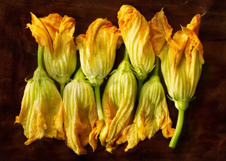 Zuccini-FlowersWEB2 copy