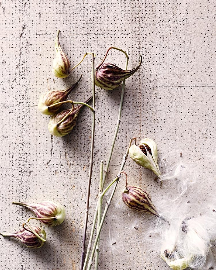 20140402_homegoods_shot4_0467_noise