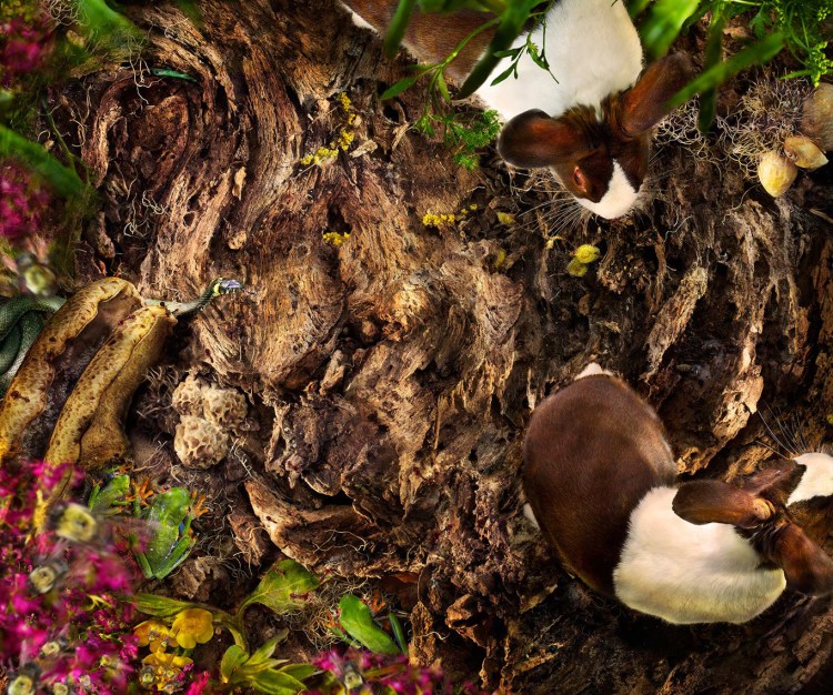 The-HollowWEB15 cropped