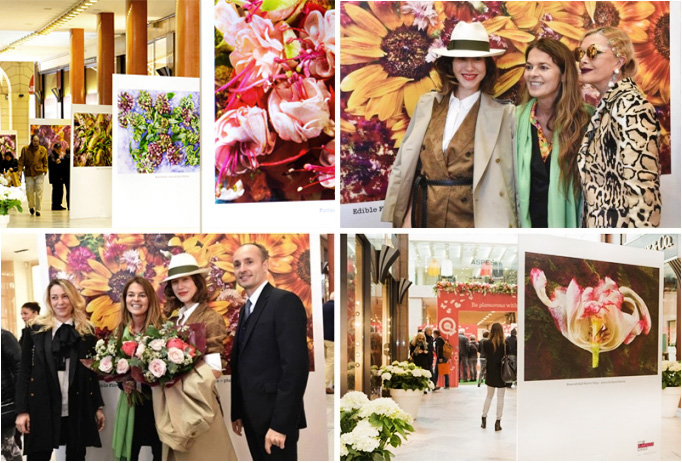 Screen Shot 2016-04-19 at 3.24.46 PM_Blog