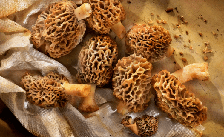 Screen Shot 2016-07-11 at 11.56.39 AM