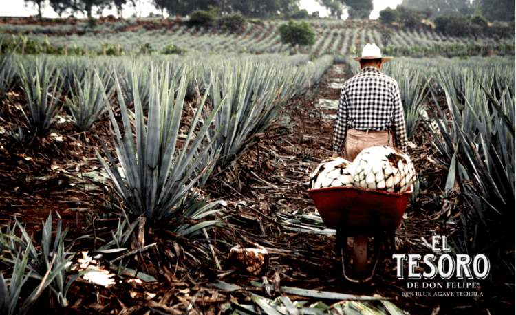 Screen Shot 2016-08-31 at 5.43.41 PM