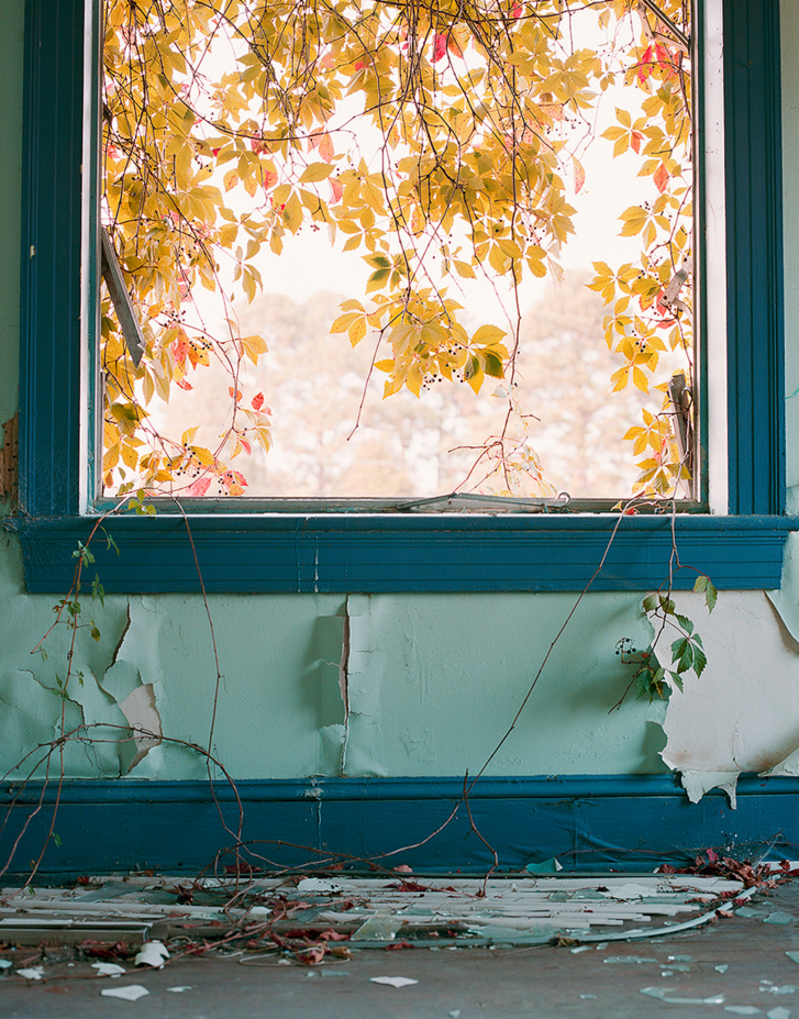 screen-shot-2016-10-12-at-10-55-05-am