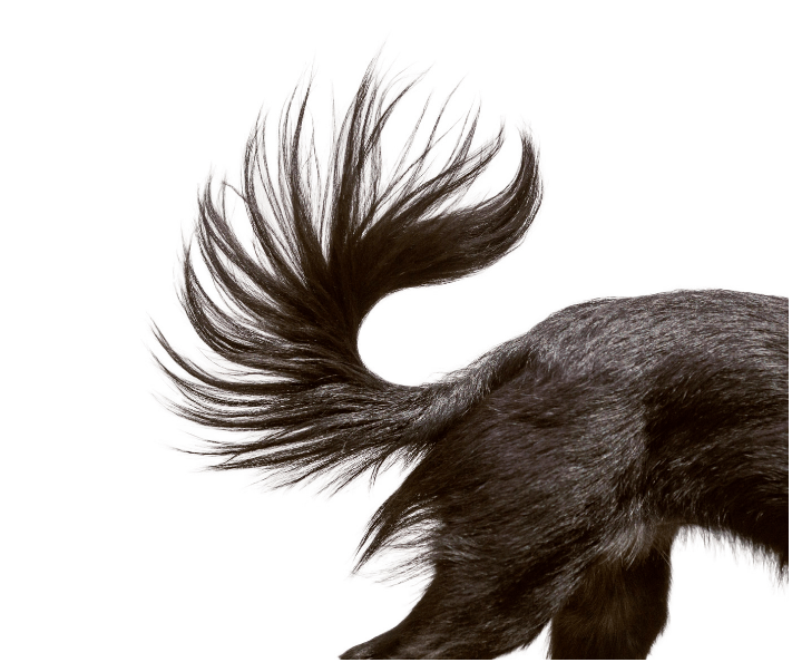 screen-shot-2016-10-18-at-1-42-37-pm