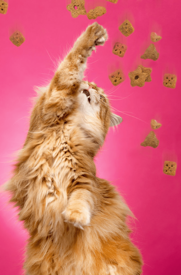 Screen Shot 2017-05-10 at 9.57.21 PM.png