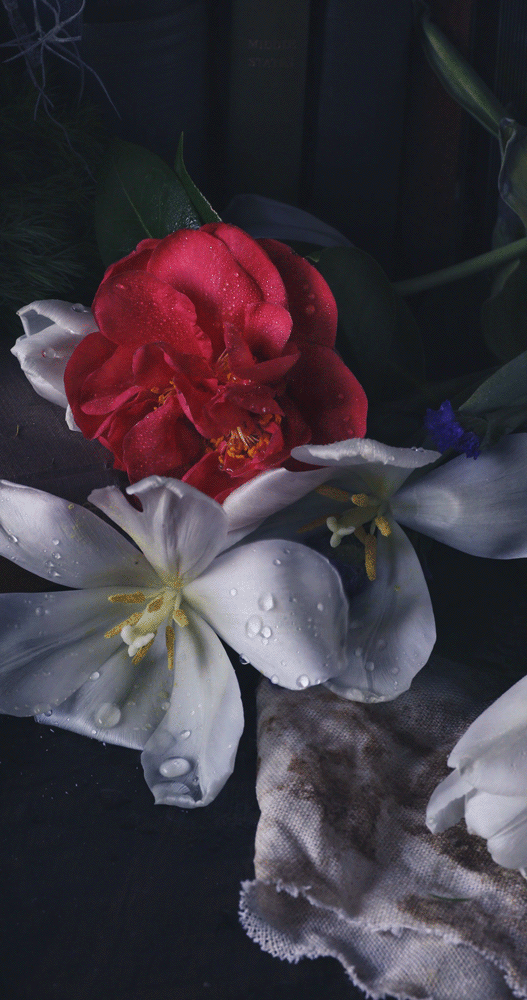 Living Still with Tulips and Camelia Gabriela Iancu