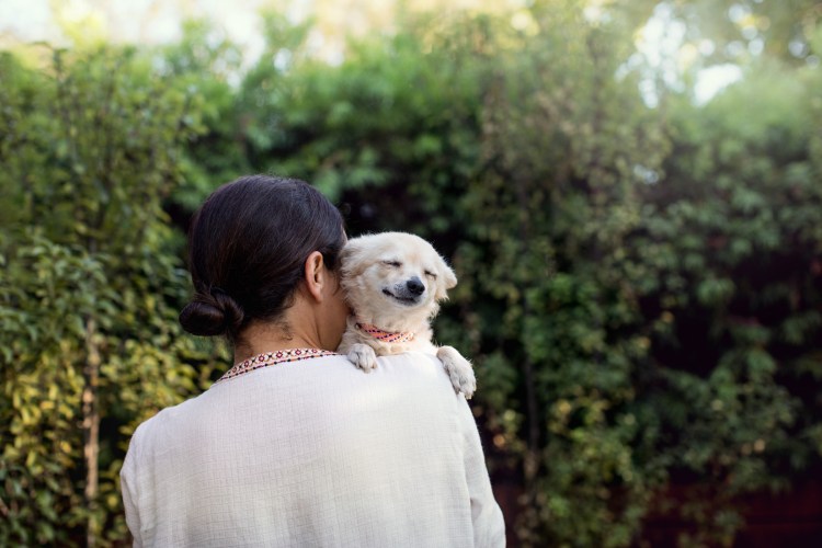 171027_FoundAnimals-878