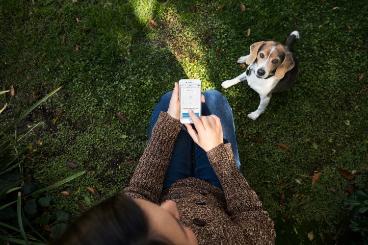 180214_Barkbus-175_JN_01