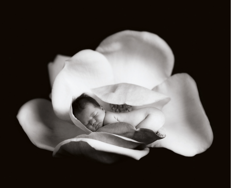 Screen Shot 2018-09-10 at 1.37.02 PM