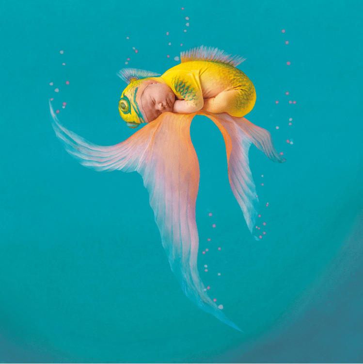 Screen Shot 2018-09-10 at 1.39.16 PM