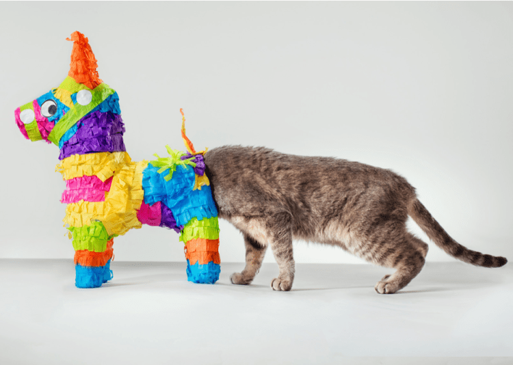 Screen Shot 2018-09-19 at 2.52.30 PM