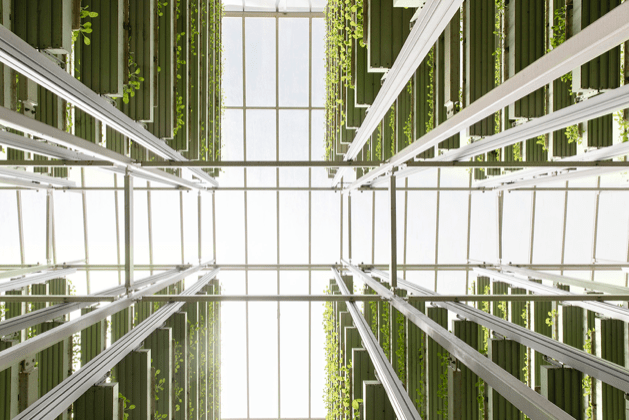 Screen Shot 2019-04-15 at 9.16.14 AM